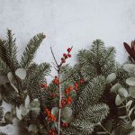healing the family and finding hope during the holidays
